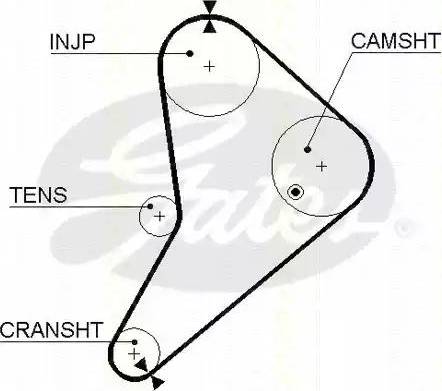 Triscan 8645 5021 - Curea de distributie aaoparts.ro