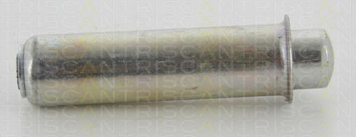 Triscan 8641 103041 - Amortizor vibratii, curea distributie aaoparts.ro