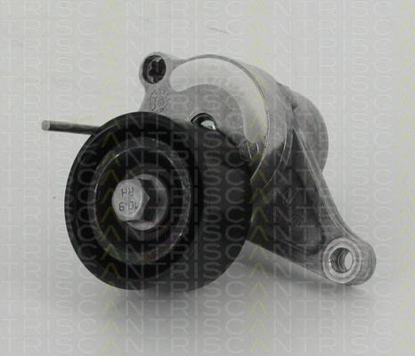 Triscan 8641 103043 - Rola ghidare / conducere, curea transmisie aaoparts.ro
