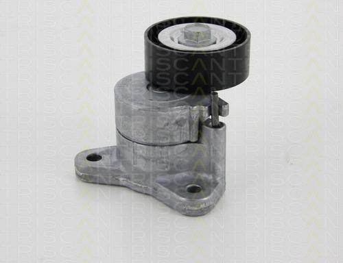 Triscan 8641 103042 - Intinzator curea, curea distributie aaoparts.ro