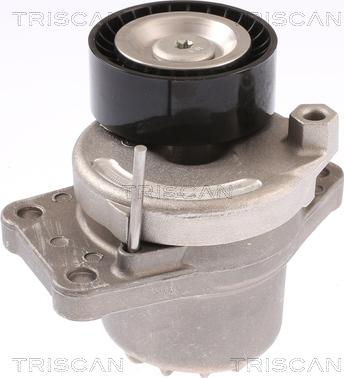 Triscan 8641 103051 - Intinzator curea, curea distributie aaoparts.ro