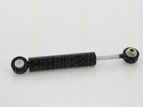 Triscan 8641 293045 - Amortizor vibratii, curea transmisie cu caneluri aaoparts.ro