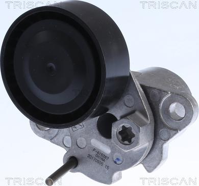Triscan 8641 293054 - Intinzator curea, curea distributie aaoparts.ro