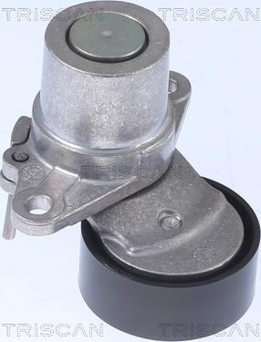 Triscan 8641 293056 - Intinzator curea, curea distributie aaoparts.ro