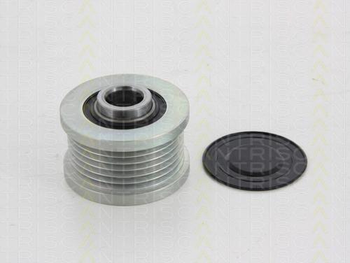 Triscan 8641 244005 - Fulie, alternator aaoparts.ro