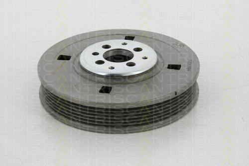 Triscan 8643 10002 - Fulie curea, arbore cotit aaoparts.ro
