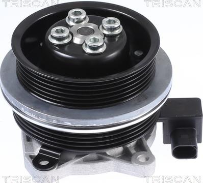 Triscan 8600 29062 - Pompa apa aaoparts.ro