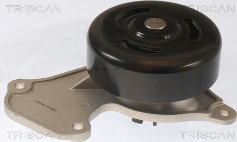 Triscan 8600 25095 - Pompa apa aaoparts.ro