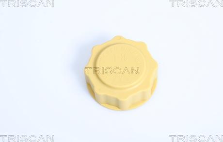 Triscan 8610 12 - Buson,vas expansiune aaoparts.ro