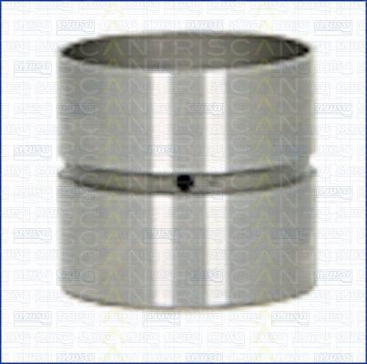 Triscan 80-25007 - Culbutor supapa aaoparts.ro