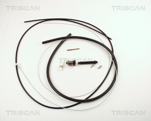Triscan 8140 25315 - Cablu acceleratie aaoparts.ro