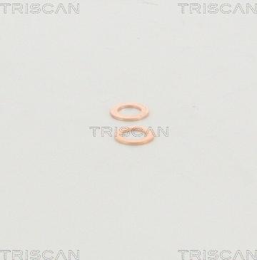 Triscan 8150 29132 - Furtun frana aaoparts.ro