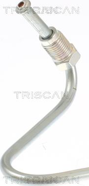 Triscan 8150 29361 - Furtun frana aaoparts.ro