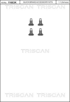 Triscan 8105 116004 - Set surub, disc frana aaoparts.ro