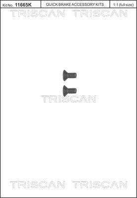 Triscan 8105 116006 - Set surub, disc frana aaoparts.ro