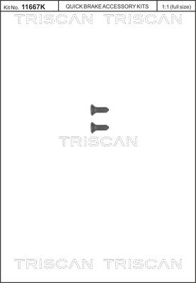 Triscan 8105 116008 - Set surub, disc frana aaoparts.ro