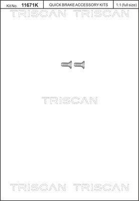 Triscan 8105116012 - Set surub, disc frana aaoparts.ro