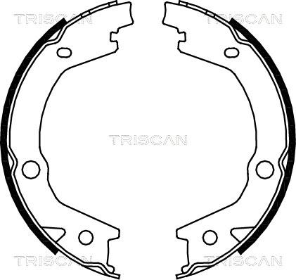 Triscan 8100 43020 - Set saboti frana, frana de mana aaoparts.ro