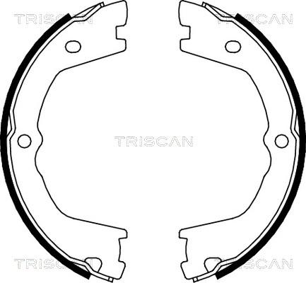 Triscan 8100 15019 - Set saboti frana, frana de mana aaoparts.ro