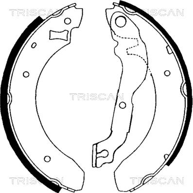 Triscan 8100 16376 - Set saboti frana aaoparts.ro