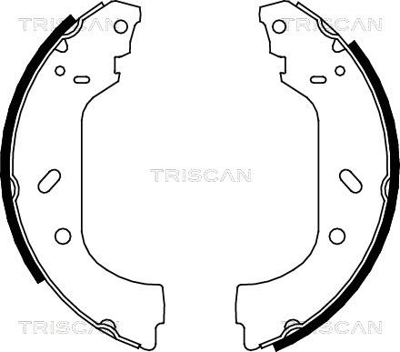 Triscan 8100 10588 - Set saboti frana aaoparts.ro