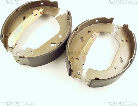 Triscan 8100 10004 - Set saboti frana aaoparts.ro