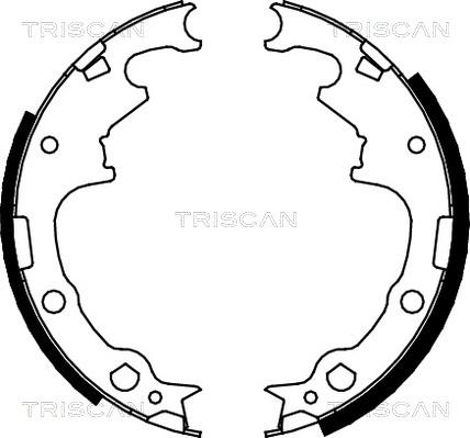 Triscan 8100 10001 - Set saboti frana aaoparts.ro