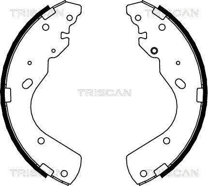 Triscan 8100 10017 - Set saboti frana aaoparts.ro