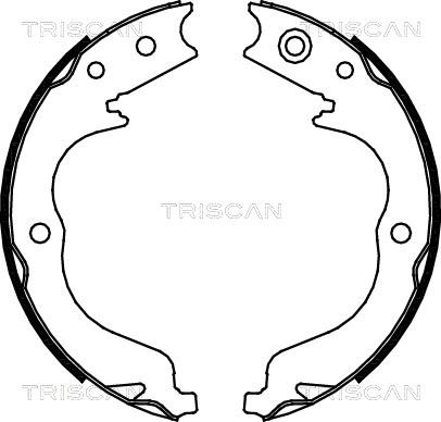 Triscan 8100 10029 - Set saboti frana aaoparts.ro