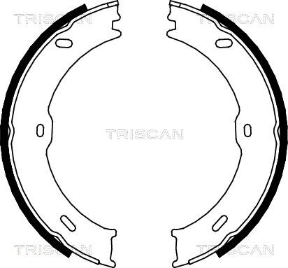 Triscan 8100 10023 - Set saboti frana aaoparts.ro