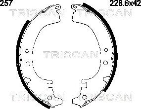 Triscan 8100 10257 - Set saboti frana aaoparts.ro