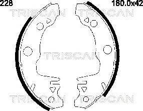 Triscan 8100 10228 - Set saboti frana aaoparts.ro