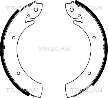 Triscan 8100 10272 - Set saboti frana aaoparts.ro