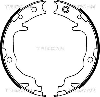Triscan 8100 80010 - Set saboti frana, frana de mana aaoparts.ro