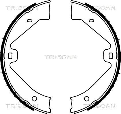 Triscan 8100 29002 - Set saboti frana, frana de mana aaoparts.ro