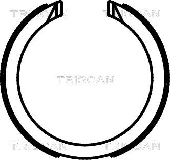 Triscan 8100 21003 - Set saboti frana, frana de mana aaoparts.ro