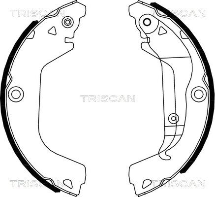 Triscan 8100 21002 - Set saboti frana aaoparts.ro