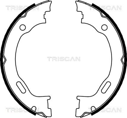 Triscan 8100 23028 - Set saboti frana, frana de mana aaoparts.ro