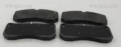 Triscan 8110 29179 - Set placute frana,frana disc aaoparts.ro