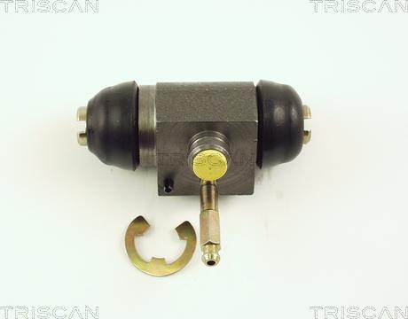 Triscan 8130 16025 - Cilindru receptor frana aaoparts.ro