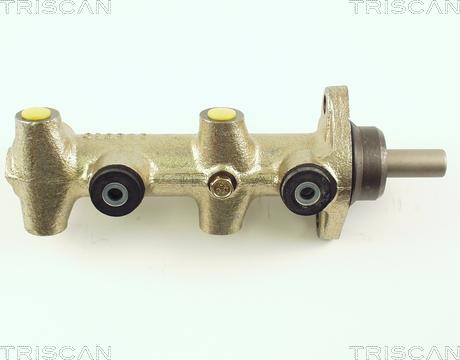 Triscan 8130 29104 - Pompa centrala, frana aaoparts.ro