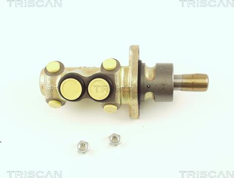 Triscan 8130 29123 - Pompa centrala, frana aaoparts.ro