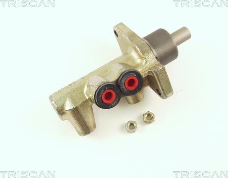 Triscan 8130 24123 - Pompa centrala, frana aaoparts.ro