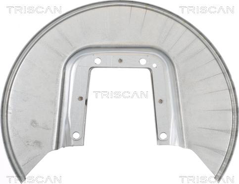 Triscan 8125 28202 - Protectie stropire,disc frana aaoparts.ro