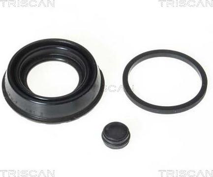 Triscan 8170 189920 - Garnitura,piston etrier aaoparts.ro