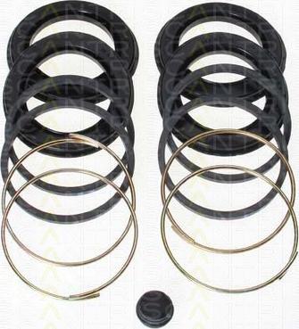 Triscan 8170 184844 - Garnitura,piston etrier aaoparts.ro