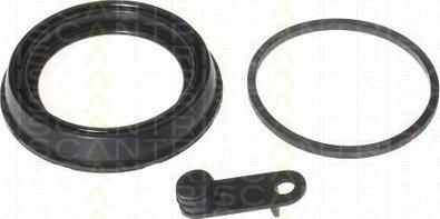 Triscan 8170 186023 - Garnitura,piston etrier aaoparts.ro