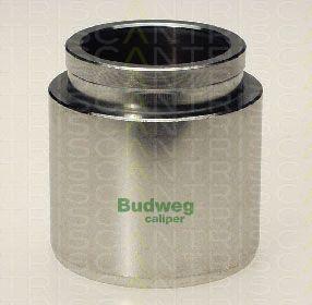 Triscan 8170 234806 - Piston, etrier frana aaoparts.ro