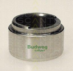 Triscan 8170 234803 - Piston, etrier frana aaoparts.ro
