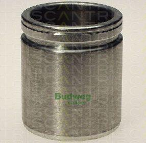 Triscan 8170 234815 - Piston, etrier frana aaoparts.ro